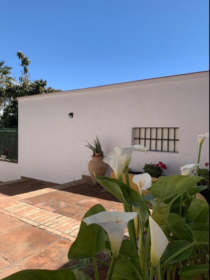 A Estrenar Preciosa Suite-Céntrico-Con Jardín y Porche Torremolinos Extérieur photo